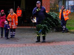 Weihnachtsbaumweitwurf